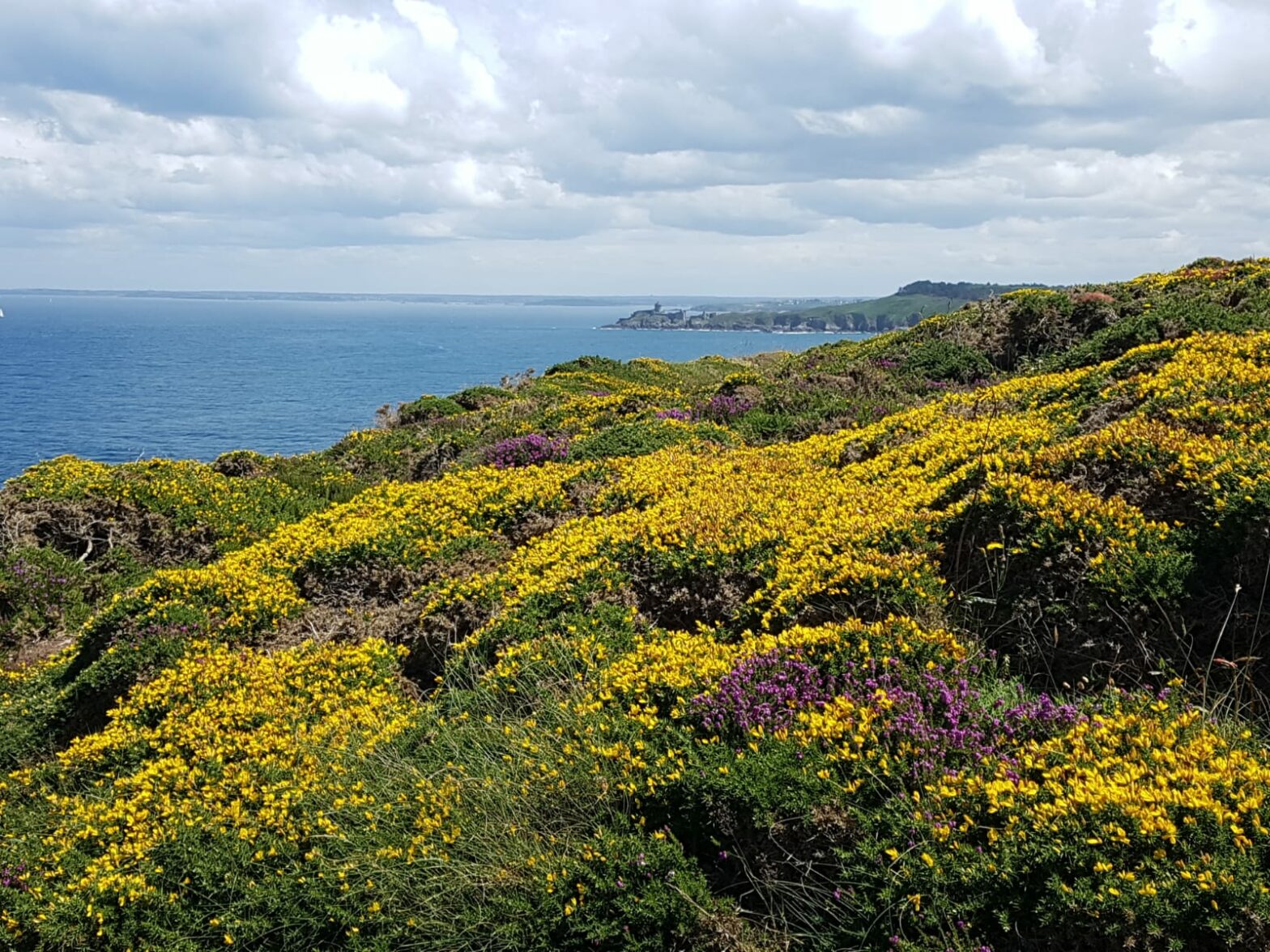 Entre Fort Lalatte et Cap Fréhel