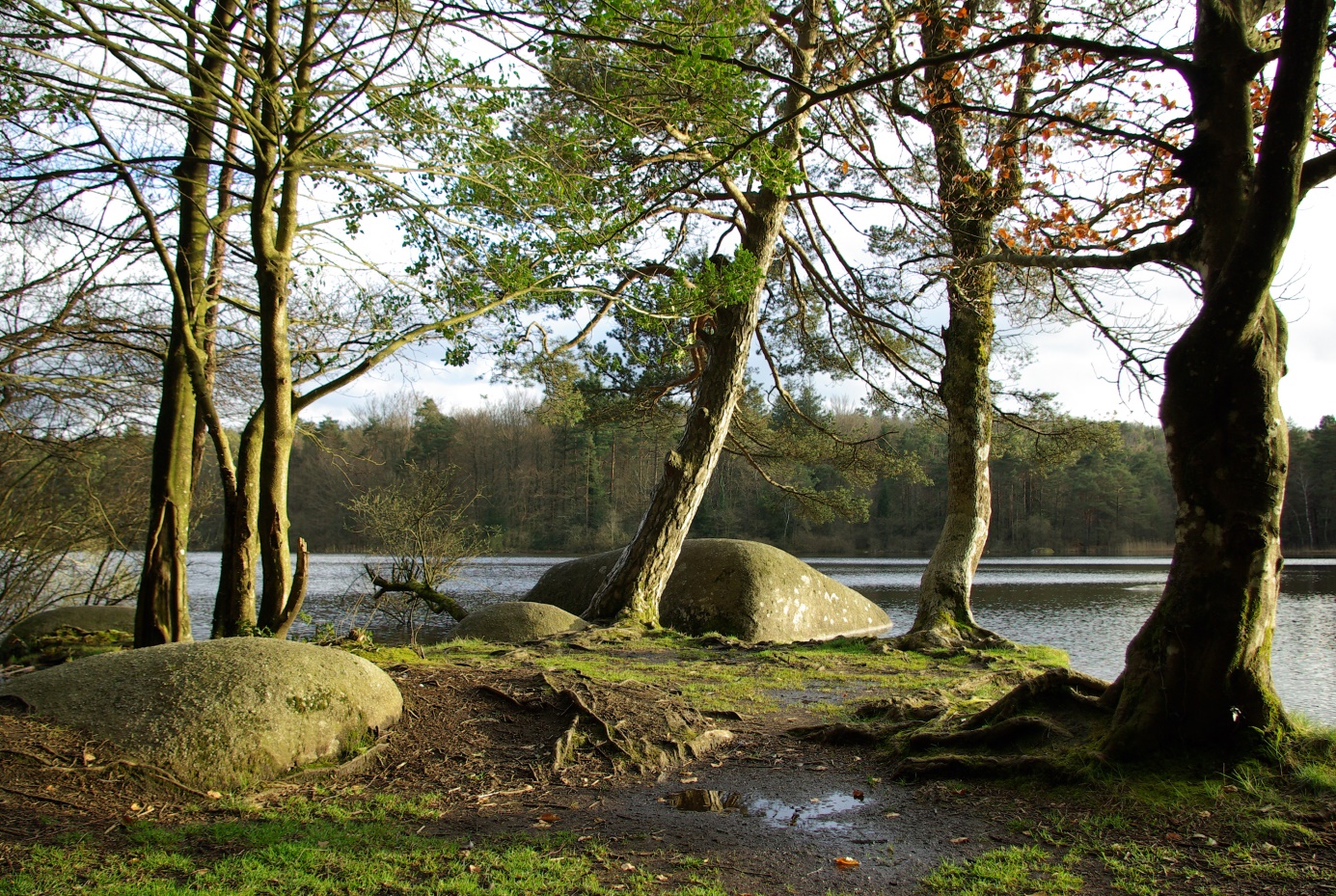 Sidobre, Tarn