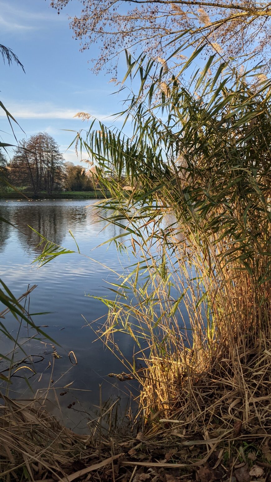 Lac Campbon