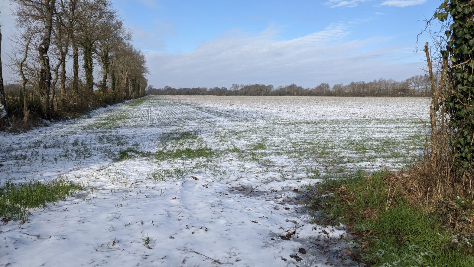 champ sous la neige