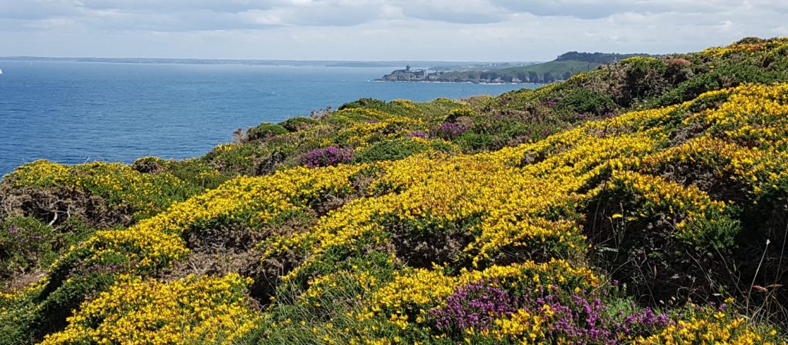 Entre Fort Lalatte et Cap Fréhel