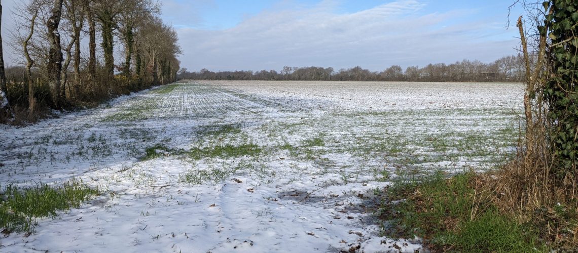 champ sous la neige