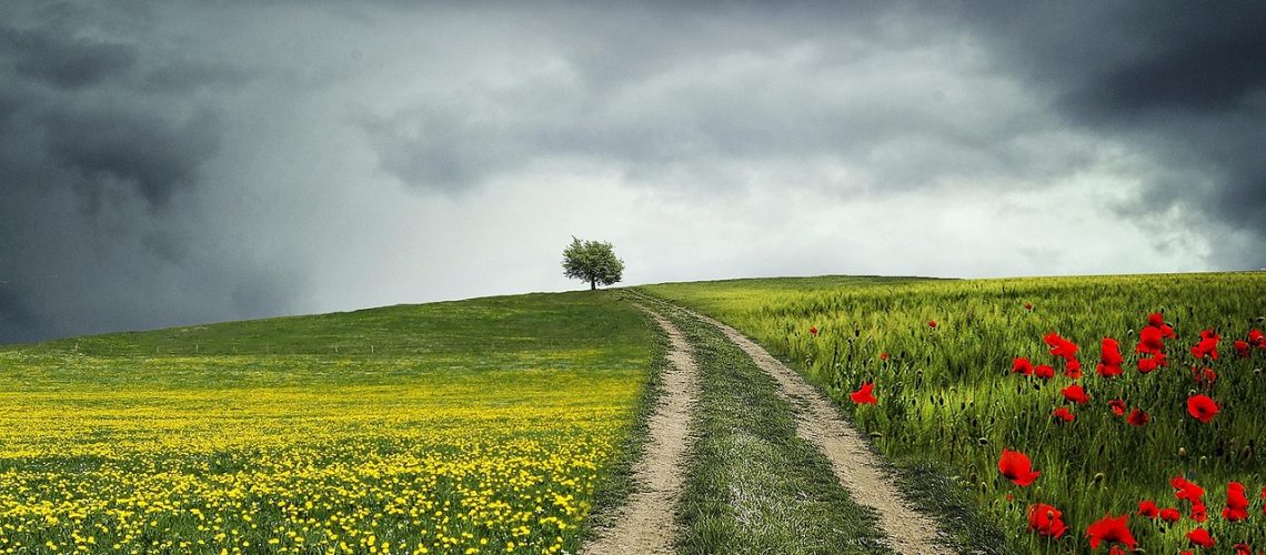 path-832031_1280